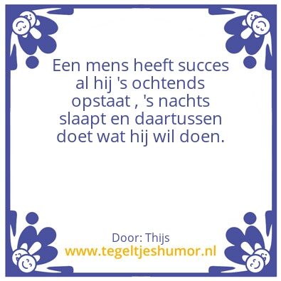 Tegeltje: Succes