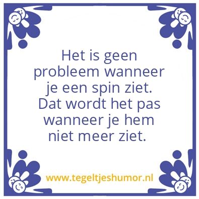 Tegeltje: Spin