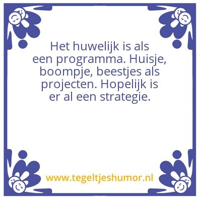 Tegeltje: Strategie, programma, project