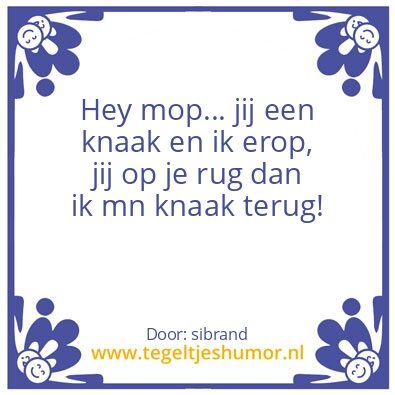 Tegeltje: hey mop!
