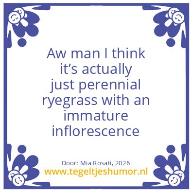 Tegeltje: Naam