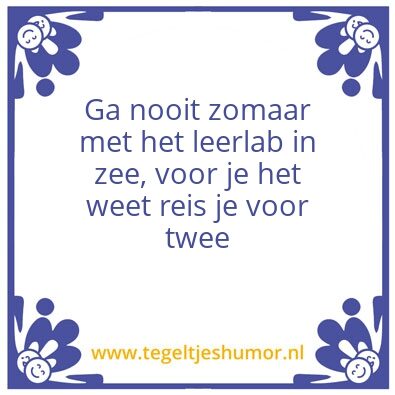 Tegeltje: Meme