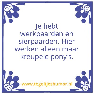 Tegeltje: pony!