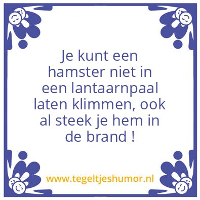 Tegeltje: George