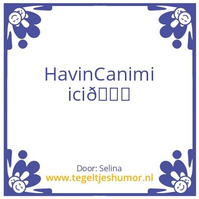 Tegeltje: Havin