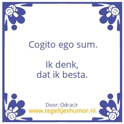 Tegeltje: Cogito