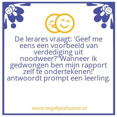 Tegeltje: Rapport