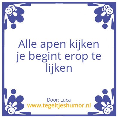 Tegeltje: Aap