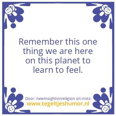 Tegeltje: What ?