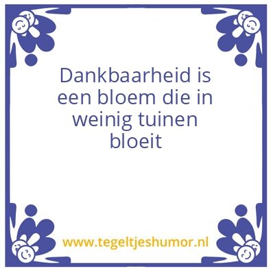 Tegeltje: teste