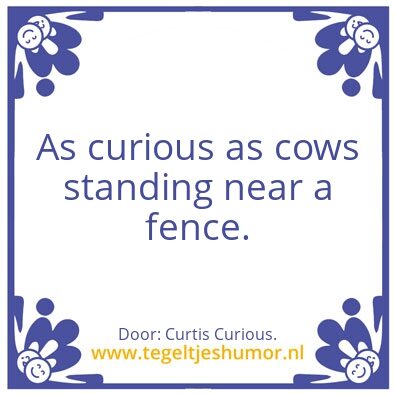 Tegeltje: Curious.