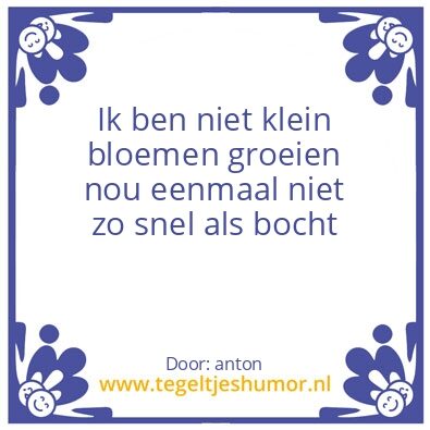Tegeltje: klein