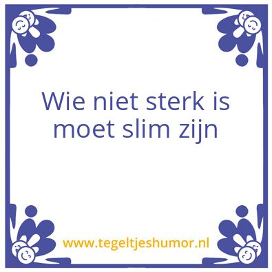 Tegeltje: slim