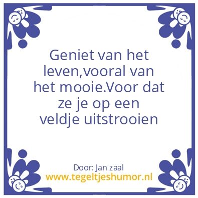 Tegeltje: Vaas