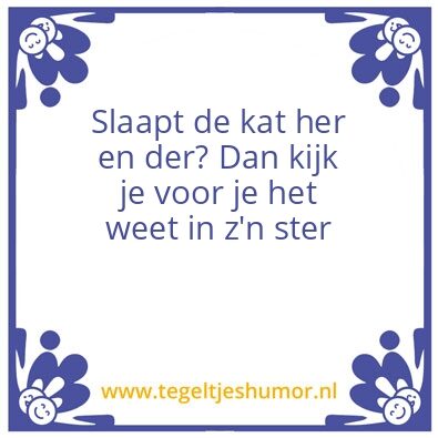 Tegeltje: Ster