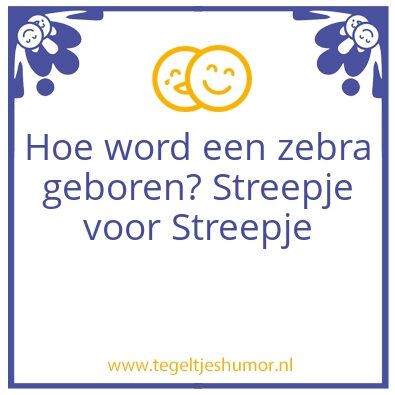 Tegeltje: zebra
