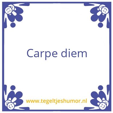 Tegeltje: Tilly