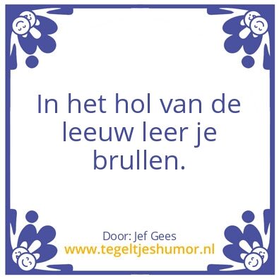 Tegeltje: Ervaring