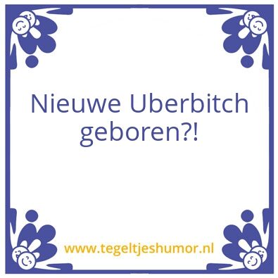 Tegeltje: Bitch