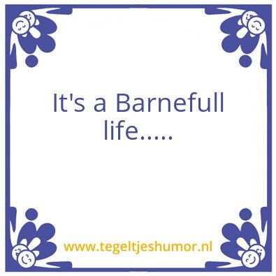 Tegeltje: Barno