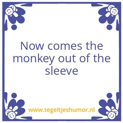 Tegeltje: Monkey