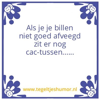Tegeltje: Cactussen