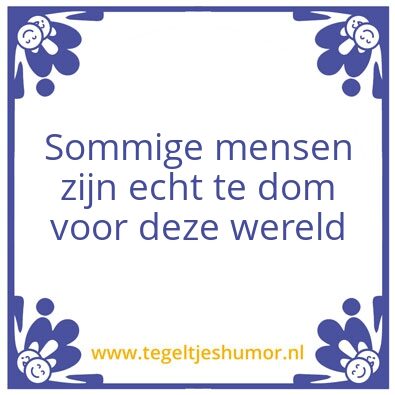 Tegeltje: Dom