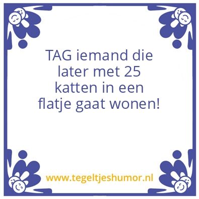 Tegeltje: Flat