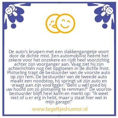 Tegeltje: Mist