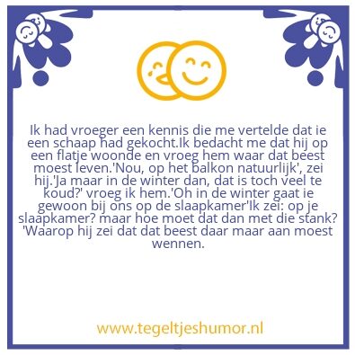Tegeltje: Schaap