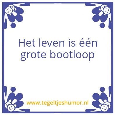 Tegeltje: Bootloop