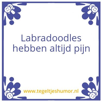 Tegeltje: Doodle
