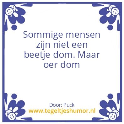 Tegeltje: Dom