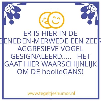 Tegeltje: GANS