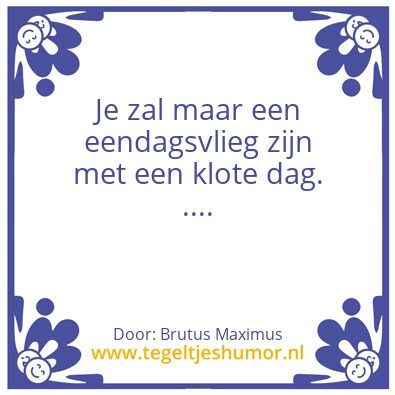 Tegeltje: De eendagsvlieg