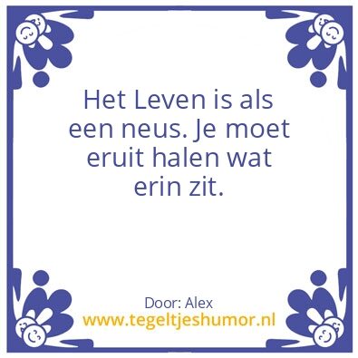 Tegeltje: Humor