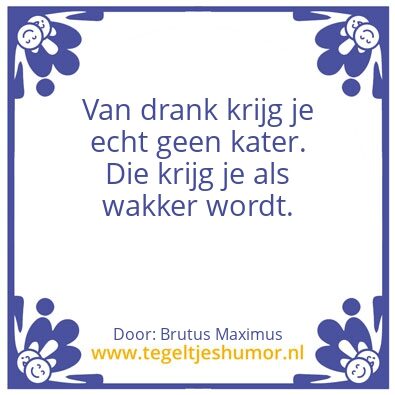 Tegeltje: Kater