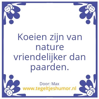 Tegeltje: Koe