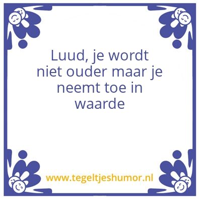 Tegeltje: luud